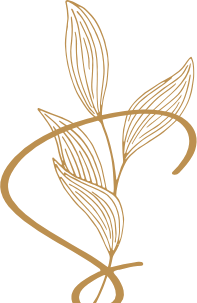 Singh Digital Films logo